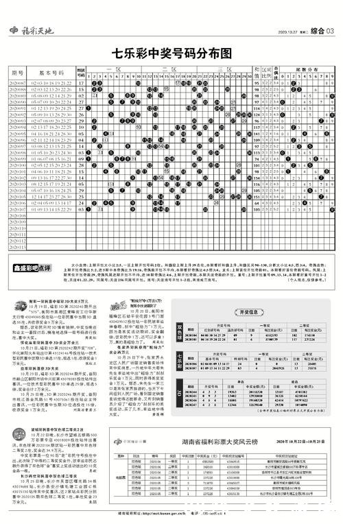 世界杯投注赔率解析与投注指南